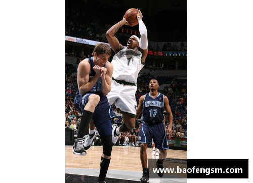 NBA神龟兄弟：传奇篇章与超凡成就