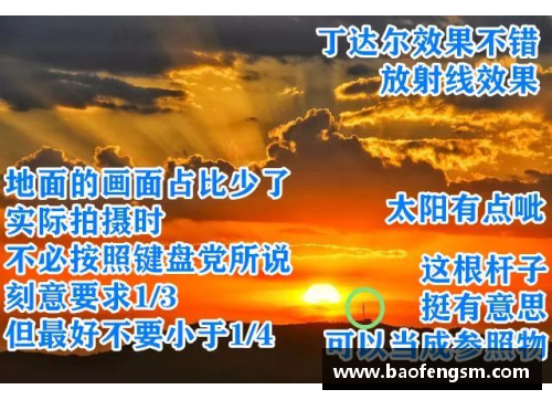 冰岛足球员职业生涯精彩履历详解与发展历程解析