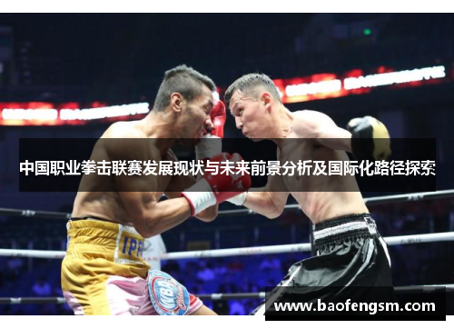 中国职业拳击联赛发展现状与未来前景分析及国际化路径探索